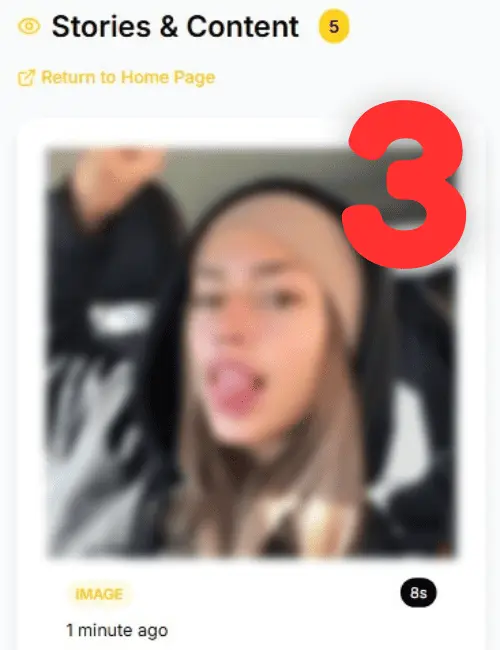 A user interface displaying Snapchat stories and profile picture within the StoryLooker website.